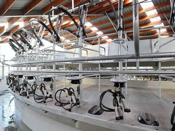 Ordenhadeira Rotativa Waikato Orbit 3