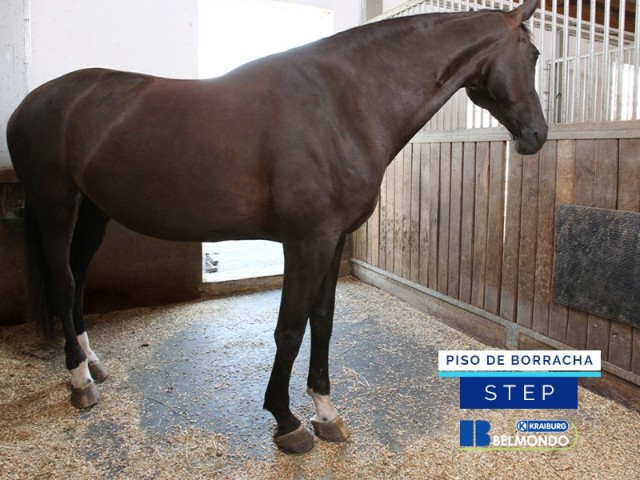 Piso de Borracha para Equinos Belmondo Basic 3