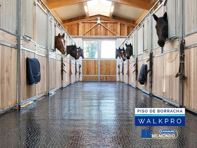 Piso de Borracha para Equinos Belmondo Walkpro Weizur