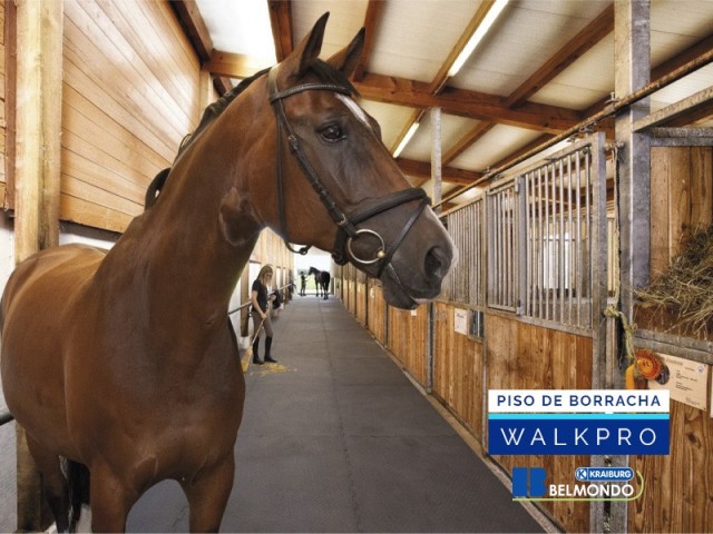 Piso de Borracha para Equinos Belmondo Walkpro Weizur