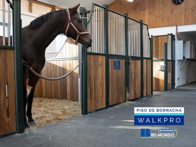 Piso de Borracha para Equinos Belmondo Walkpro Weizur