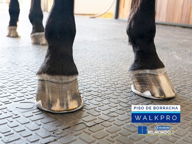 Piso de Borracha para Equinos Belmondo Walkpro Weizur