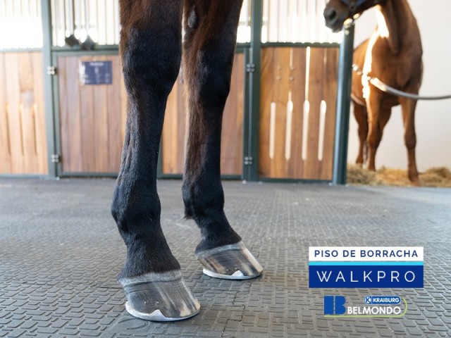 Piso de Borracha para Equinos Belmondo Walkpro Weizur