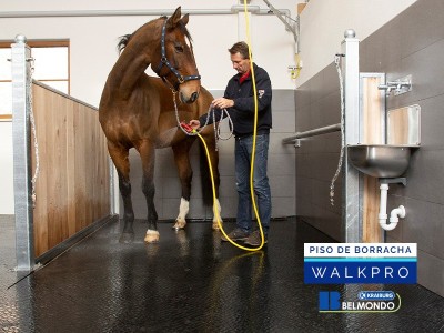 Piso de Borracha para Equinos Belmondo Walkpro Weizur