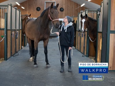 Piso de Borracha para Equinos Belmondo Walkpro Weizur