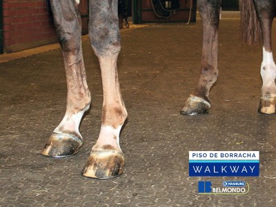 Piso de Borracha para Equinos Belmondo Walkway 4